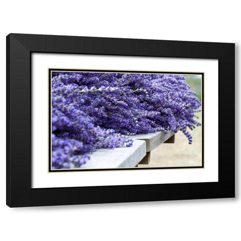 Lavender Harvest I Black Modern Wood Framed Art Print with Double Matting by Styber, Dana
