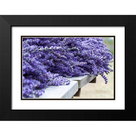 Lavender Harvest I Black Modern Wood Framed Art Print with Double Matting by Styber, Dana