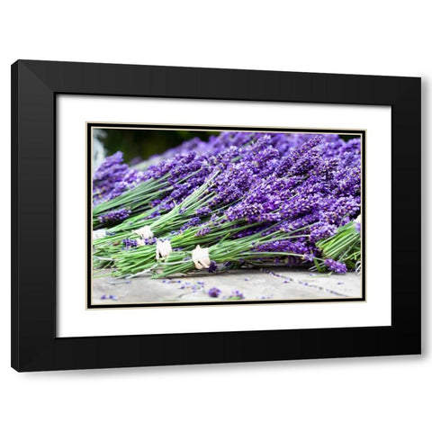 Lavender Harvest II Black Modern Wood Framed Art Print with Double Matting by Styber, Dana
