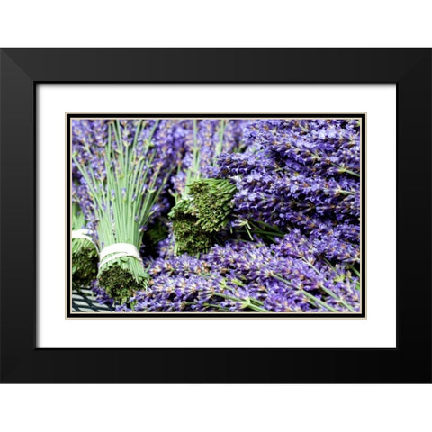 Lavender Bunches I Black Modern Wood Framed Art Print with Double Matting by Styber, Dana