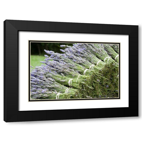 Lavender Bunches II Black Modern Wood Framed Art Print with Double Matting by Styber, Dana