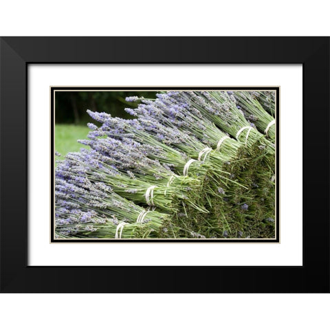 Lavender Bunches II Black Modern Wood Framed Art Print with Double Matting by Styber, Dana