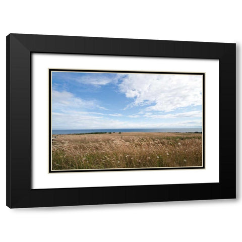 Bluff View Black Modern Wood Framed Art Print with Double Matting by Styber, Dana