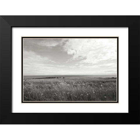Bluff View Black Modern Wood Framed Art Print with Double Matting by Styber, Dana