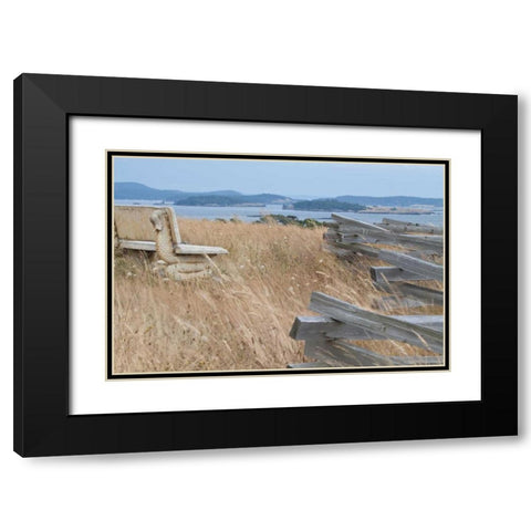 Grassy Knoll Black Modern Wood Framed Art Print with Double Matting by Styber, Dana