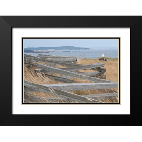 Lighthouse Path Black Modern Wood Framed Art Print with Double Matting by Styber, Dana