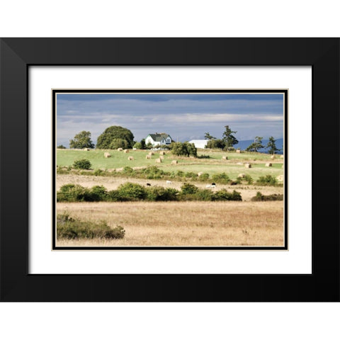 Hay Rolls I Black Modern Wood Framed Art Print with Double Matting by Styber, Dana