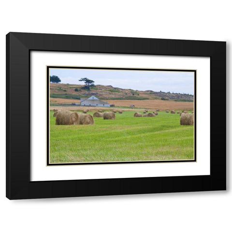 Hay Rolls II Black Modern Wood Framed Art Print with Double Matting by Styber, Dana