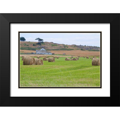 Hay Rolls II Black Modern Wood Framed Art Print with Double Matting by Styber, Dana