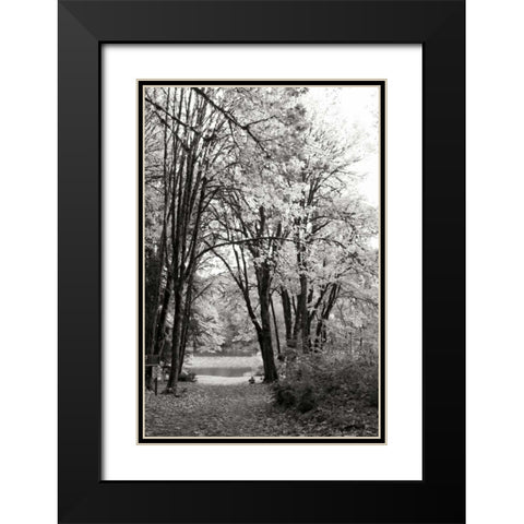 Baker Lake Trail I Black Modern Wood Framed Art Print with Double Matting by Styber, Dana