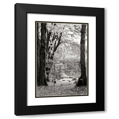 Baker Lake Trail II Black Modern Wood Framed Art Print with Double Matting by Styber, Dana