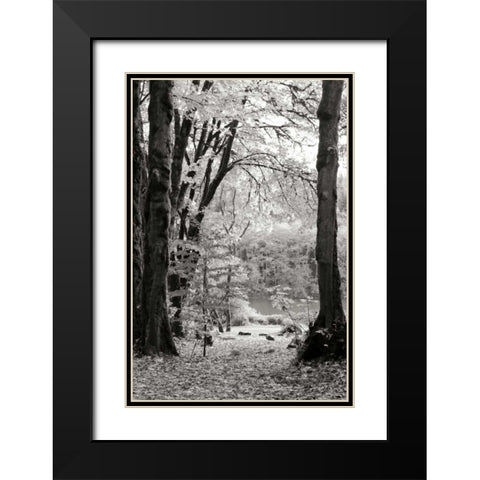 Baker Lake Trail II Black Modern Wood Framed Art Print with Double Matting by Styber, Dana