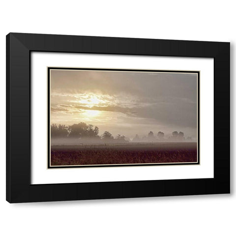 Foggy Morning I Black Modern Wood Framed Art Print with Double Matting by Styber, Dana