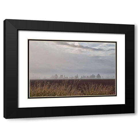 Foggy Morning II Black Modern Wood Framed Art Print with Double Matting by Styber, Dana