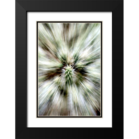 Cactus Spines Black Modern Wood Framed Art Print with Double Matting by Taylor, Douglas
