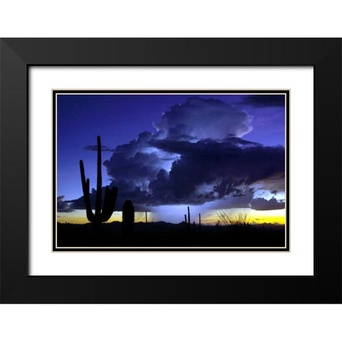 Blue Thunder Black Modern Wood Framed Art Print with Double Matting by Taylor, Douglas