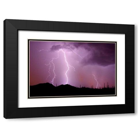 Striking Symmetry II Black Modern Wood Framed Art Print with Double Matting by Taylor, Douglas