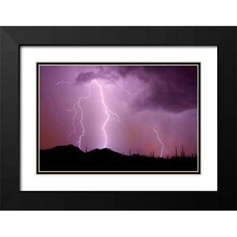 Striking Symmetry II Black Modern Wood Framed Art Print with Double Matting by Taylor, Douglas