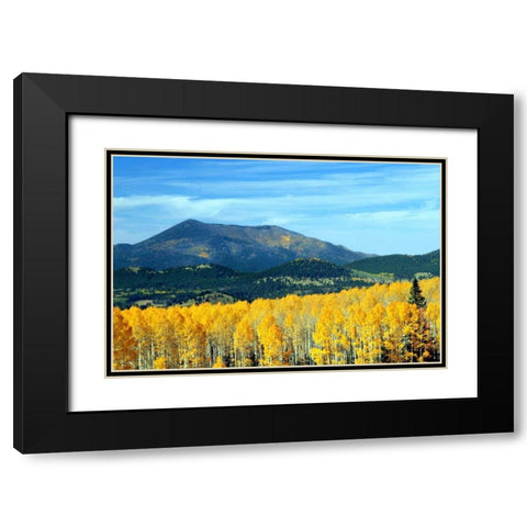 Aspens of Autumn II Black Modern Wood Framed Art Print with Double Matting by Taylor, Douglas
