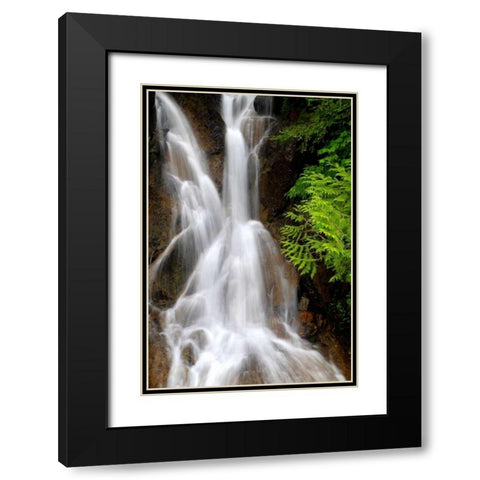 Falling Water I Black Modern Wood Framed Art Print with Double Matting by Taylor, Douglas