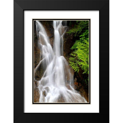 Falling Water I Black Modern Wood Framed Art Print with Double Matting by Taylor, Douglas