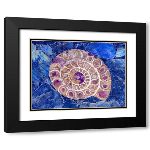 Ammonite in Labradorite Black Modern Wood Framed Art Print with Double Matting by Taylor, Douglas