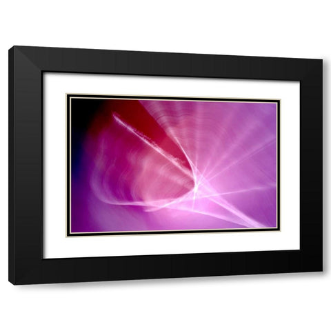 The Shell Black Modern Wood Framed Art Print with Double Matting by Taylor, Douglas