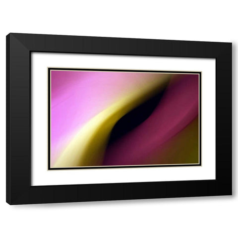 Twisted Beams I Black Modern Wood Framed Art Print with Double Matting by Taylor, Douglas