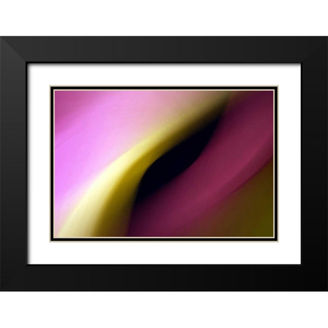 Twisted Beams I Black Modern Wood Framed Art Print with Double Matting by Taylor, Douglas