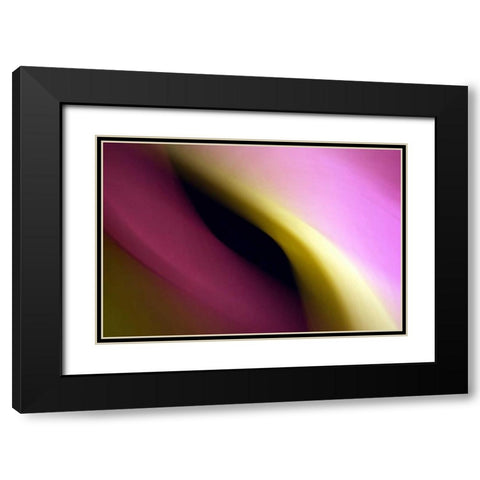 Twisted Beams II Black Modern Wood Framed Art Print with Double Matting by Taylor, Douglas