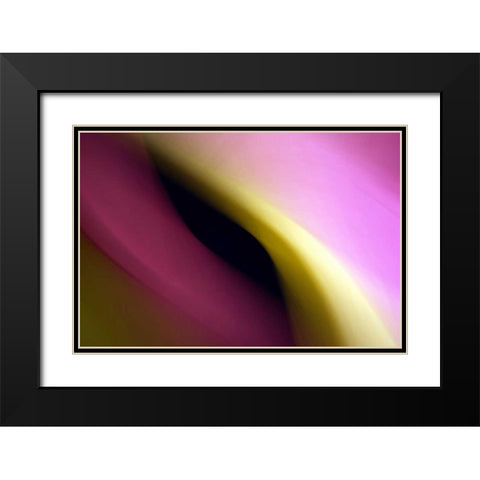 Twisted Beams II Black Modern Wood Framed Art Print with Double Matting by Taylor, Douglas