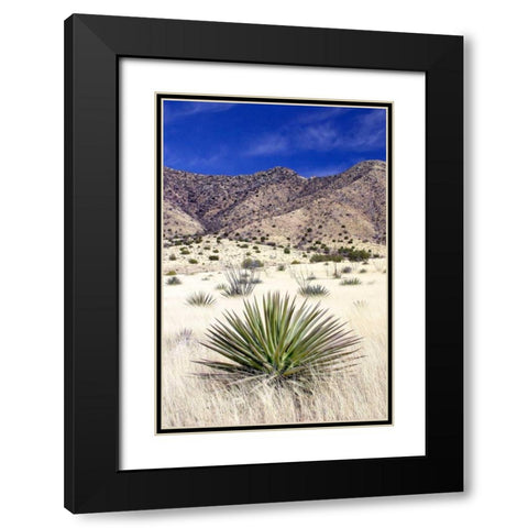 Desert Grasslands I Black Modern Wood Framed Art Print with Double Matting by Taylor, Douglas
