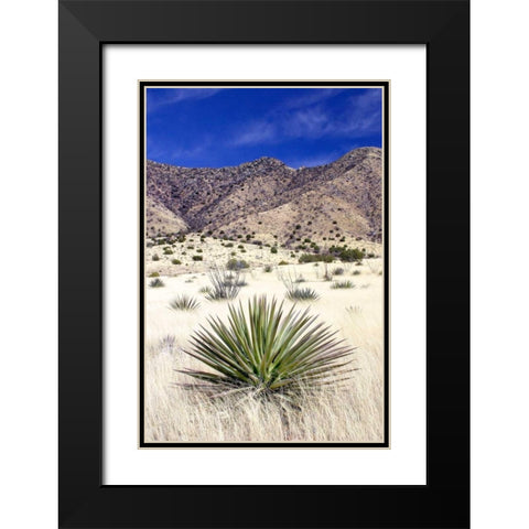 Desert Grasslands I Black Modern Wood Framed Art Print with Double Matting by Taylor, Douglas