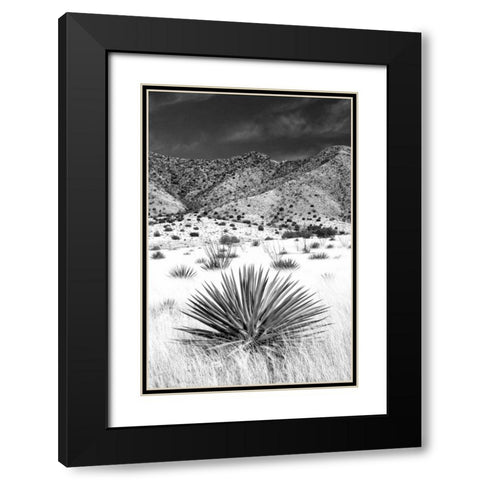 Desert Grasslands I BW Black Modern Wood Framed Art Print with Double Matting by Taylor, Douglas