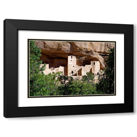 Cliff Dwelling At Mesa Verde Black Modern Wood Framed Art Print with Double Matting by Taylor, Douglas