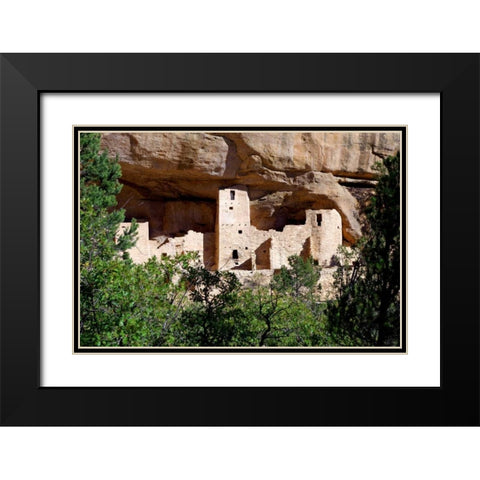 Cliff Dwelling At Mesa Verde Black Modern Wood Framed Art Print with Double Matting by Taylor, Douglas