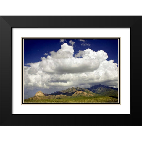 Santa Rita Mountains in August Black Modern Wood Framed Art Print with Double Matting by Taylor, Douglas