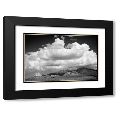 Santa Rita Mountains in August BW Black Modern Wood Framed Art Print with Double Matting by Taylor, Douglas