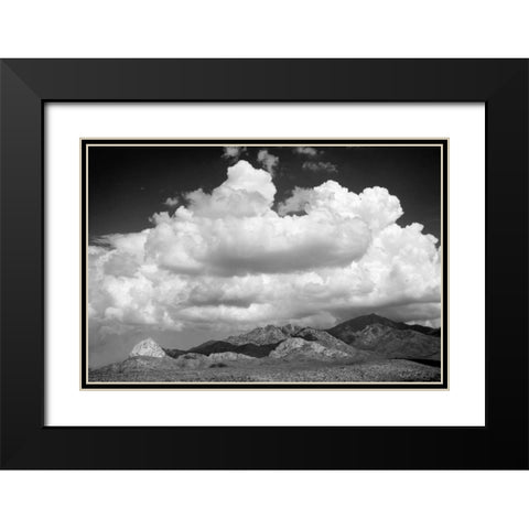 Santa Rita Mountains in August BW Black Modern Wood Framed Art Print with Double Matting by Taylor, Douglas