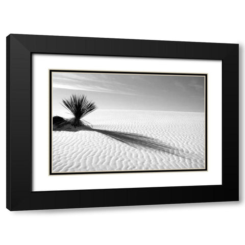 Shadows in the Sand I Black Modern Wood Framed Art Print with Double Matting by Taylor, Douglas