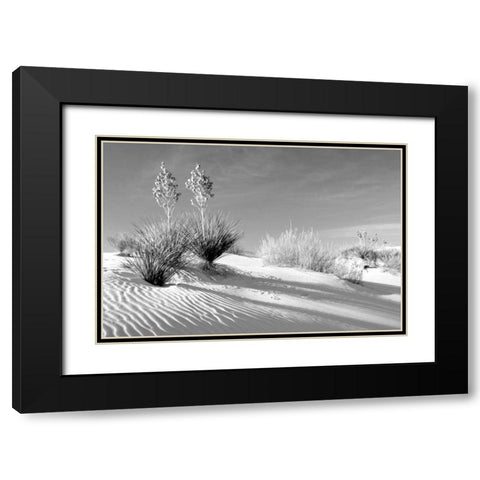 Shadows in the Sand II Black Modern Wood Framed Art Print with Double Matting by Taylor, Douglas