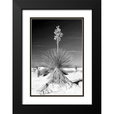 Yucca At White Sands I Black Modern Wood Framed Art Print with Double Matting by Taylor, Douglas