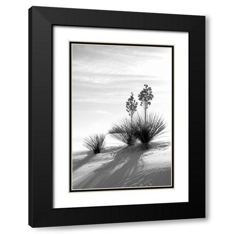 Yucca At White Sands II Black Modern Wood Framed Art Print with Double Matting by Taylor, Douglas