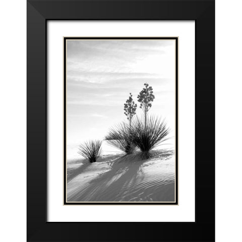 Yucca At White Sands II Black Modern Wood Framed Art Print with Double Matting by Taylor, Douglas