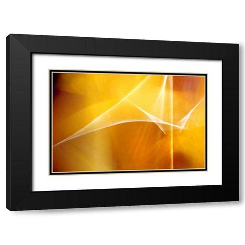 Amber Abstract I Black Modern Wood Framed Art Print with Double Matting by Taylor, Douglas
