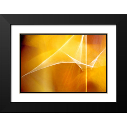 Amber Abstract I Black Modern Wood Framed Art Print with Double Matting by Taylor, Douglas