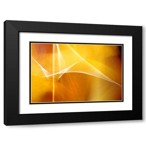 Amber Abstract II Black Modern Wood Framed Art Print with Double Matting by Taylor, Douglas
