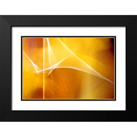 Amber Abstract II Black Modern Wood Framed Art Print with Double Matting by Taylor, Douglas