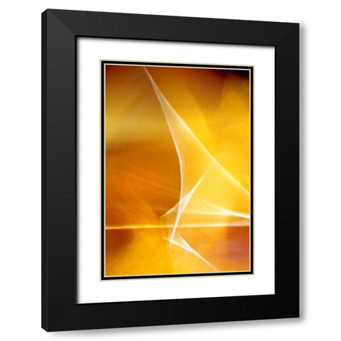 Amber Refraction I Black Modern Wood Framed Art Print with Double Matting by Taylor, Douglas