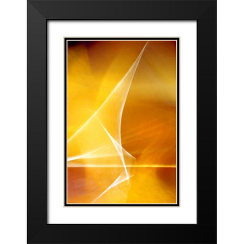 Amber Refraction II Black Modern Wood Framed Art Print with Double Matting by Taylor, Douglas